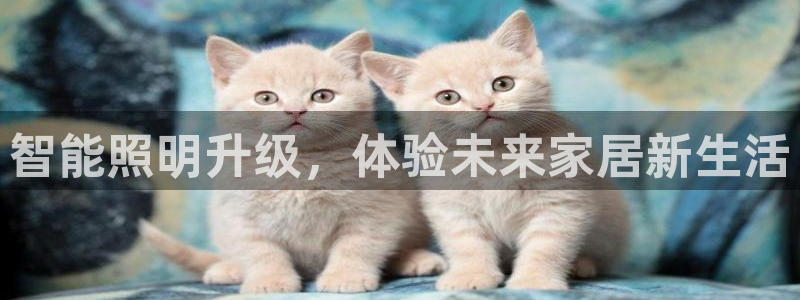 云顶国际怎么样