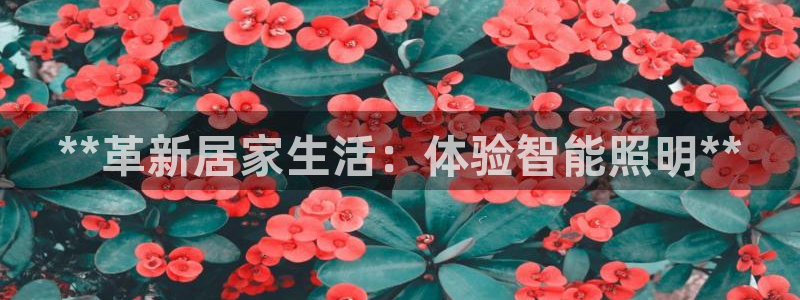 云顶国际黑款