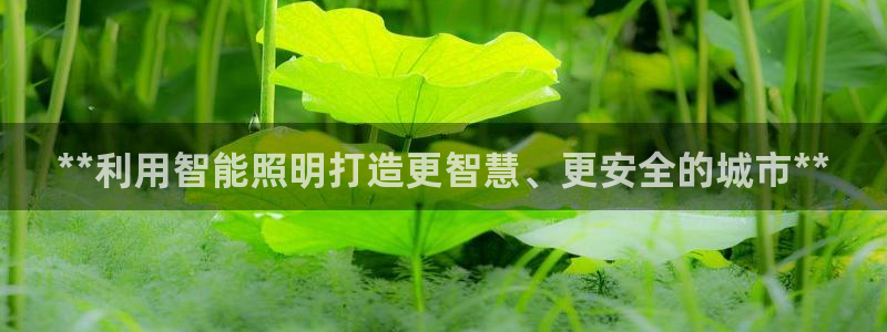 云顶国际A405