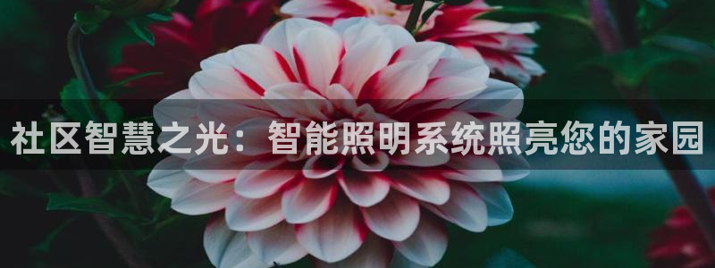 云顶国际商务会所电话