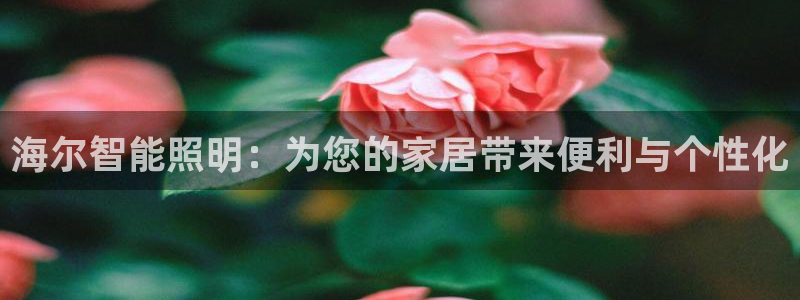 云顶国际平台app