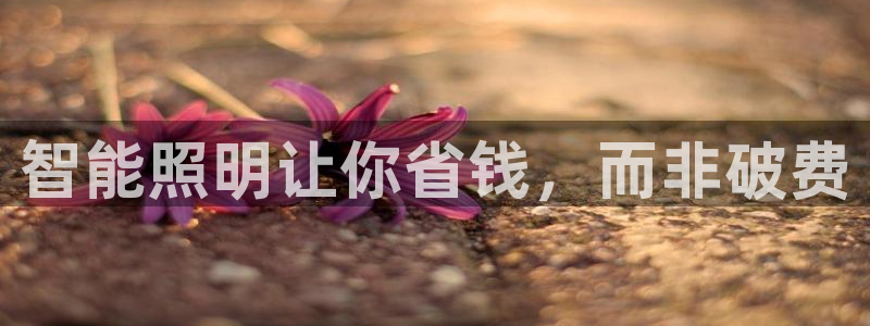 云顶集团