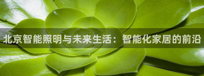 云顶国际服什么时候更新s11