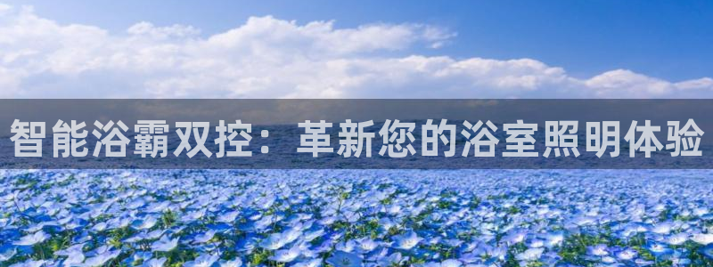 云顶国际有限公司