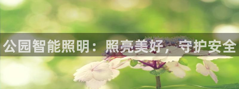 云顶集团app
