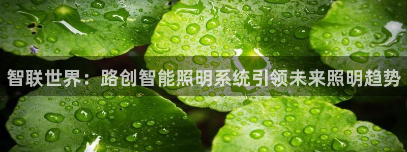 云顶国际服名字不可用