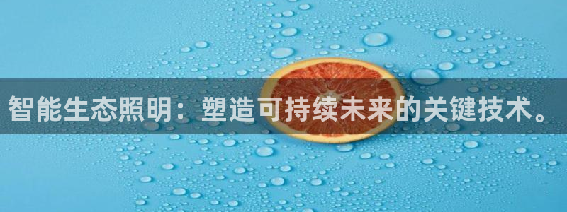 云顶国际网站2713366