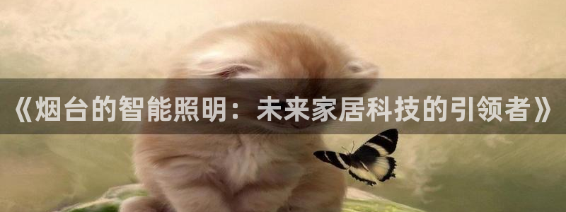 云顶国际软件官网下载