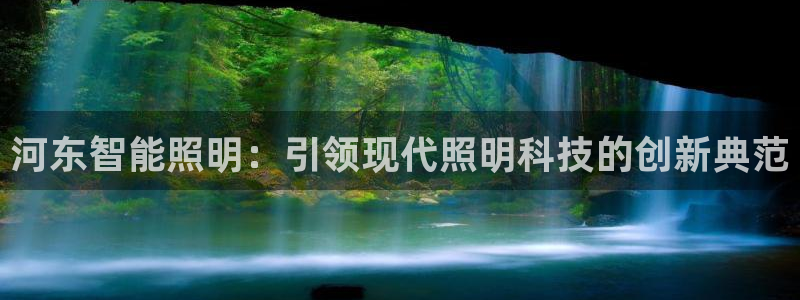 云顶集团有限公司简介概况