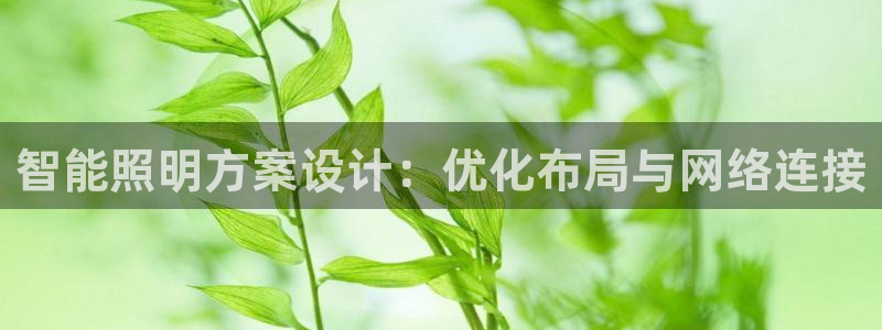 云顶国际房地产有限公司