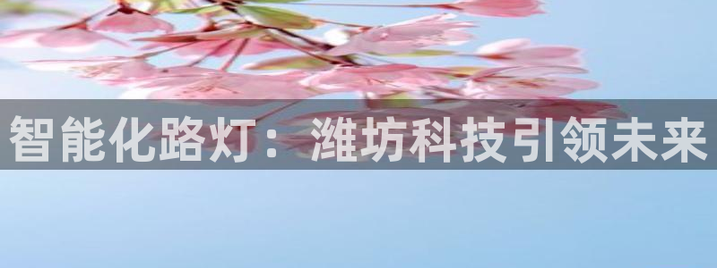 云顶国际服自定义