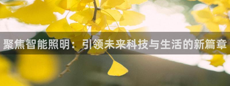 成山路800号(云顶国际商业广场a座101)电话