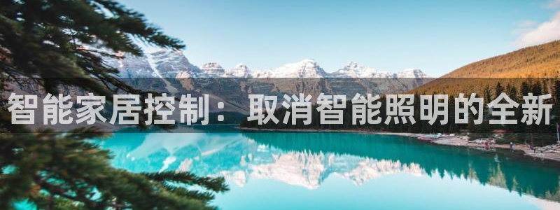 云顶国际版怎么下载