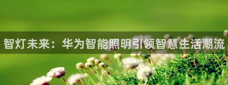 云顶国际高中学费多少钱一年