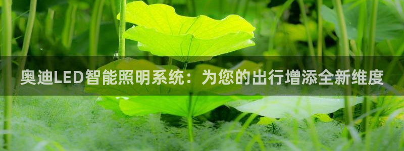 云顶国际服名字不可用