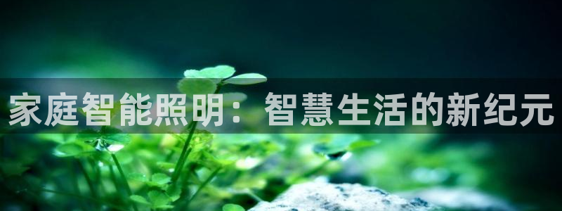 4188云顶集团下载