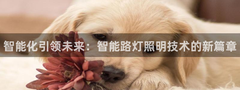 登录云顶集团app：智能化引领未来：智能
