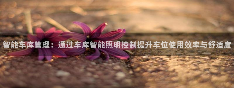 云顶国际登录：智能车库管理：通过车库智能