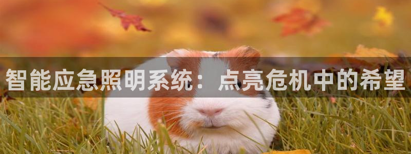 云顶国际官方网站下载手游