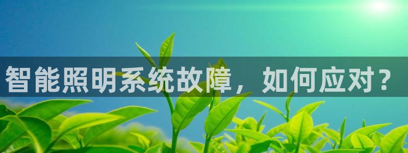 云顶国际区块链怎么样