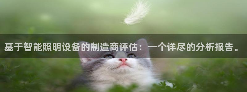 云顶国际中国官方网站入口