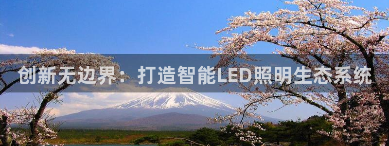 云顶国际集团io