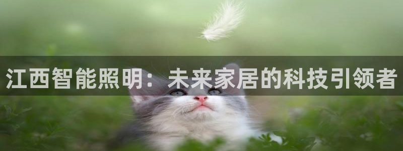 云顶最新公告：江西智能照明：未来家居的科