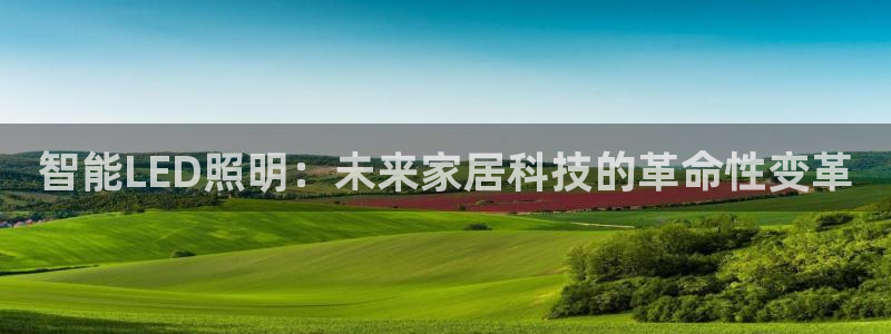 云顶集团公司 英文：智能LED照明：未来