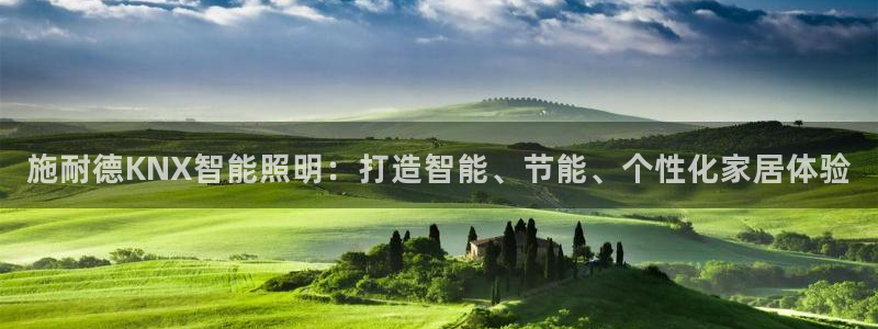 云顶国际服叫什么