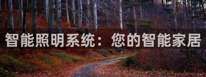 云顶国际77026：智能照明系统：您的智