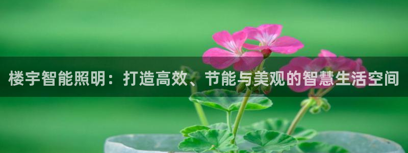 云顶最新t1