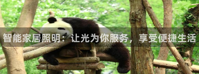 云顶集团游戏app8293