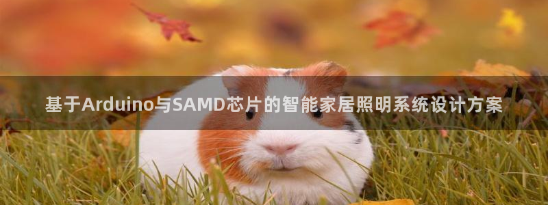 云顶7610最新