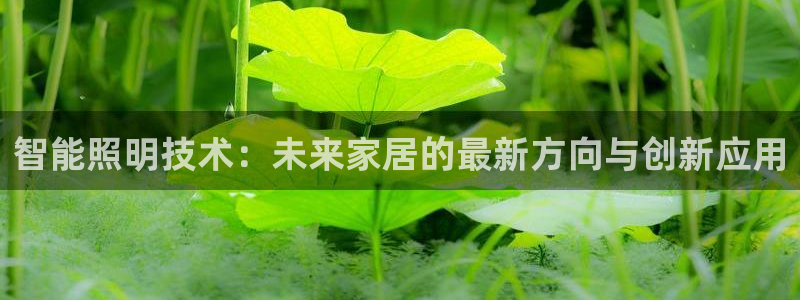 云顶mg网址：智能照明技术：未来家居的最