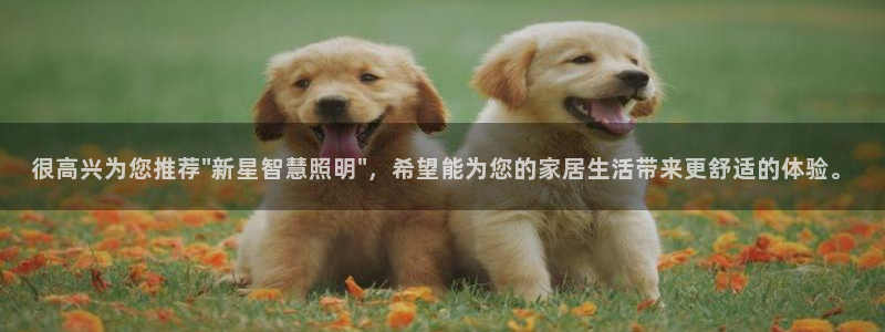 云顶电子游戏网站