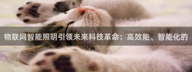 云顶国际公馆在哪