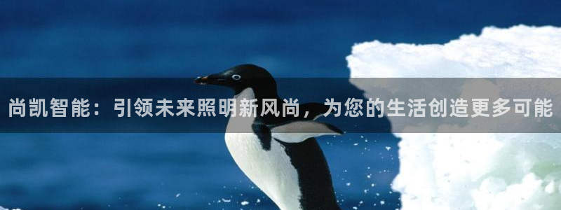 云顶讲解