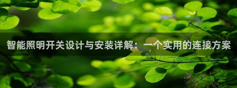云顶国际软件