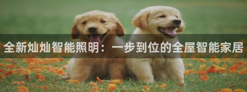云顶国际服修改不了传说装备