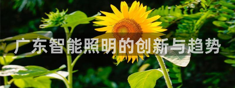 云顶国际百姓渔村