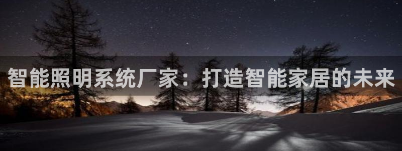 云顶国际服叫啥：智能照明系统厂家：打造智
